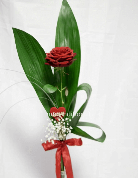 Rosa extra rossa confezionata