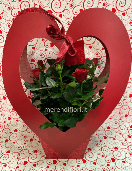 Pianta rosa rossa con cuore 
