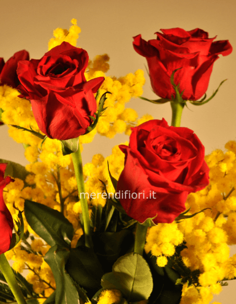 3 steli extra rose rosse con mimosa 